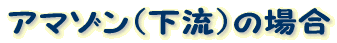 A}]ij̏ꍇ