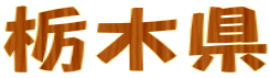 Ȗ،
